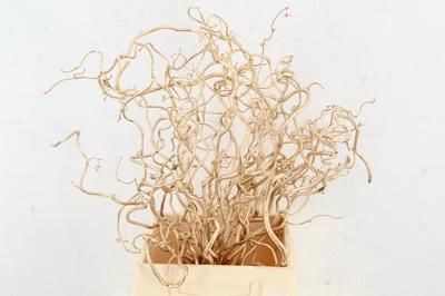 Decoratiegroen kleurbehandeld H%