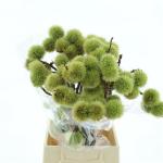 366ab0f9-d97c-4f51-9fca-ab46be4816a7.jpg