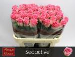 36d3bff1-fbef-4c91-aed0-72beefc74fb4.jpg