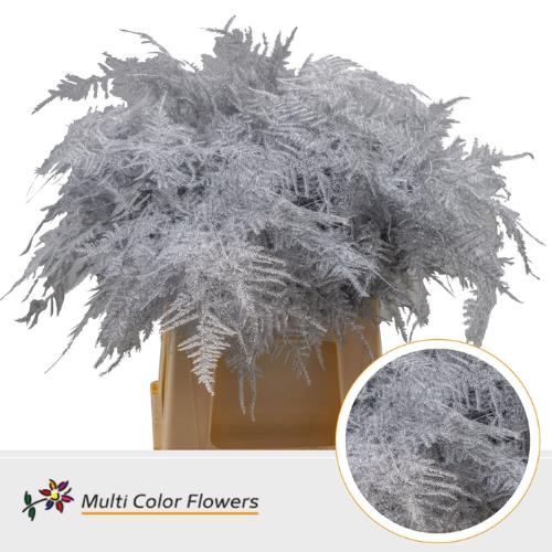 Asparagus overig kleurbehandeld H%