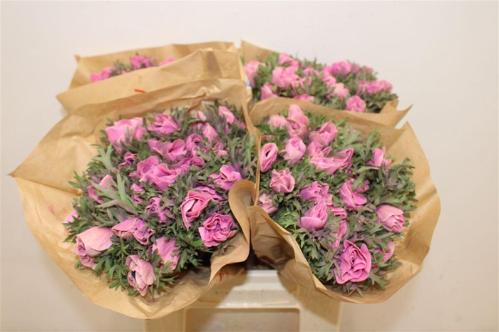 Snijbloemen overig kleurbehandeld H%