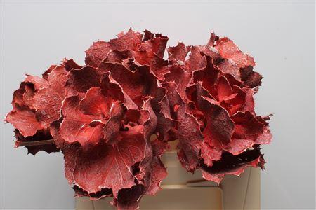 Huis en tuindecoratie overig 6%