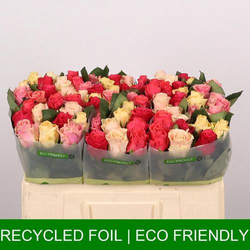 Rosa grootbloemig Tacazzi Gemengd