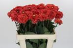 37a864dd-470c-49ee-b3ff-ada734304766.jpg
