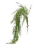 381fa7dd-9e30-4c77-a0cc-6daa986dd679.webp