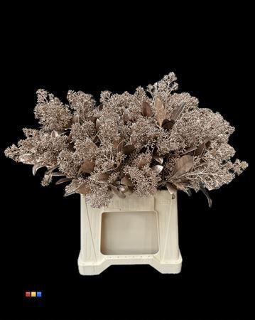 Skimmia per bos overig kleurbehandeld H%