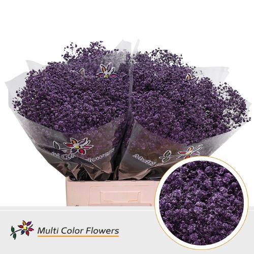 Gypsophila overig kleurbehandeld H%