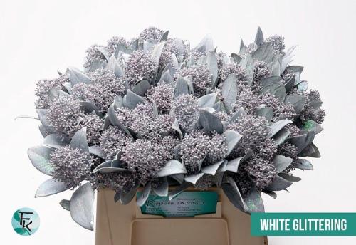 Skimmia per bos overig kleurbehandeld H%