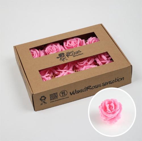 Rosa grootbloemig kleurbehandeld H%