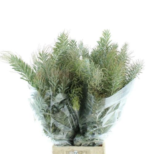 Decoratiegroen overig per bos