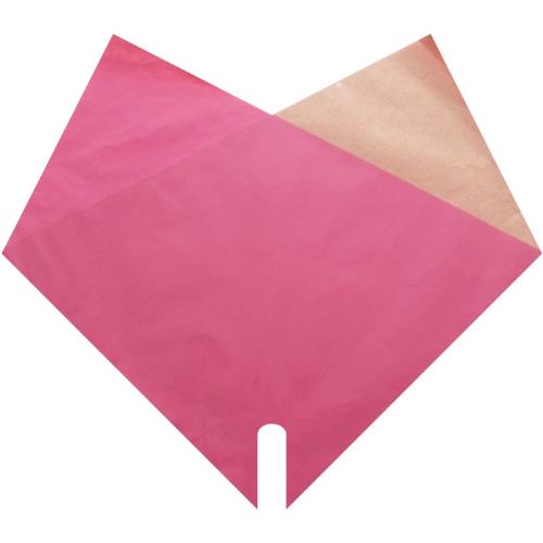 Sleeves Double Kraft 35*35cm x25