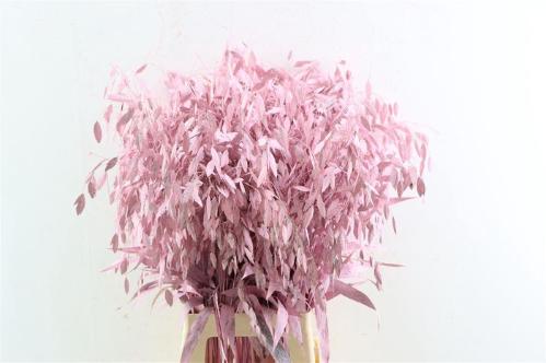 Snijbloemen overig kleurbehandeld H%