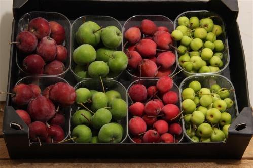 Siervruchten per bak Malus overig
