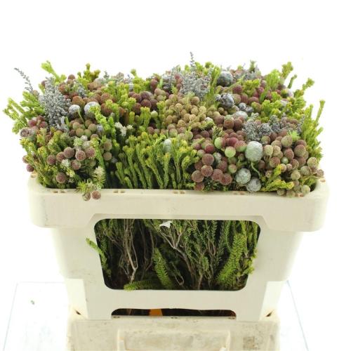 Allerheiligenboeket per bos