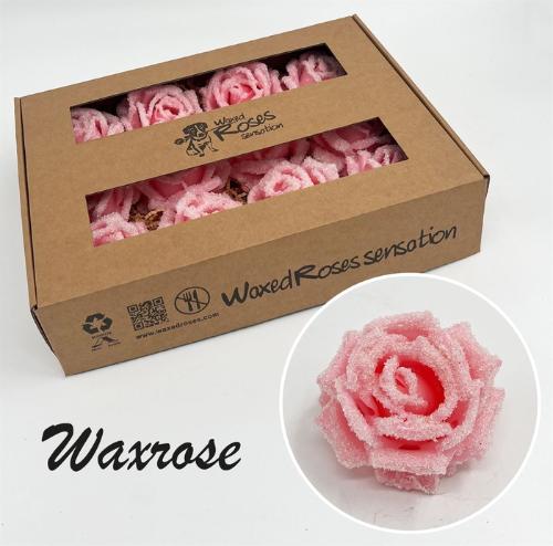 Rosa grootbloemig gewaxt H%