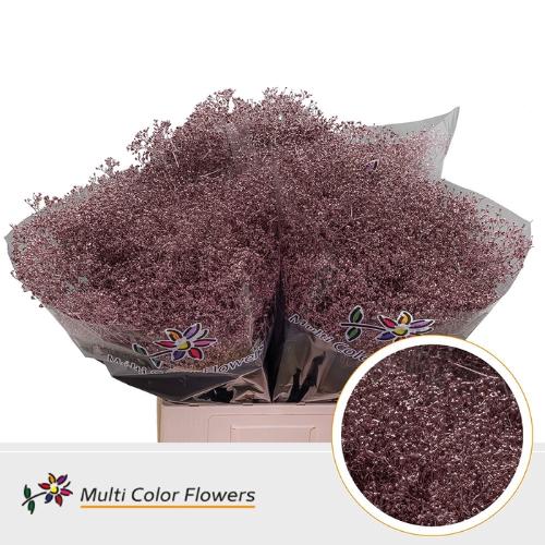 Gypsophila overig kleurbehandeld H%