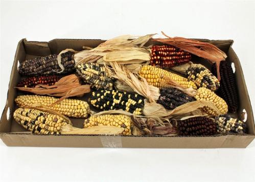 Siervruchten per stuk Zea mays 6%