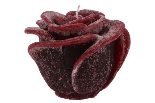 Huis en tuindecoratie overig H%