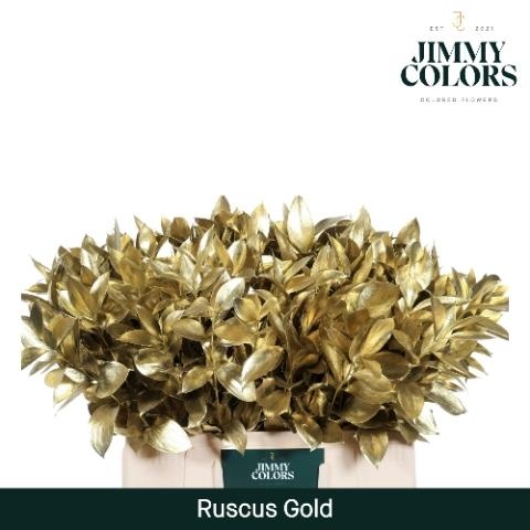 Ruscus kleurbehandeld H%