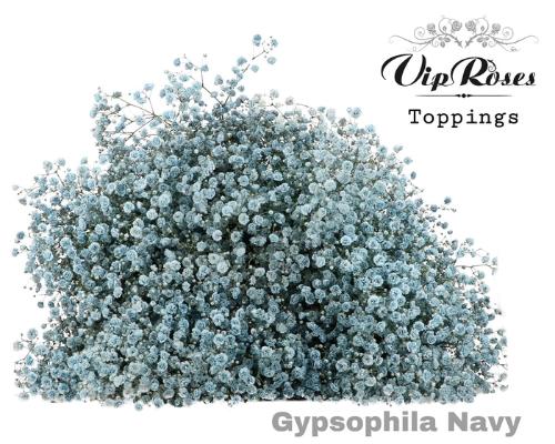 Gypsophila overig kleurbehandeld H%