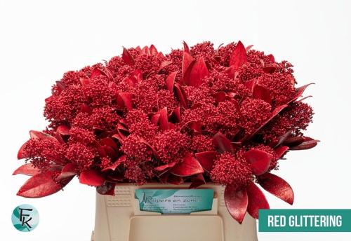 Skimmia per bos overig kleurbehandeld H%