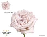 3b6a36b5-435b-491f-b2f6-fd7b005eb733.jpg