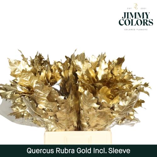 Quercus rubra kleurbehandeld H%