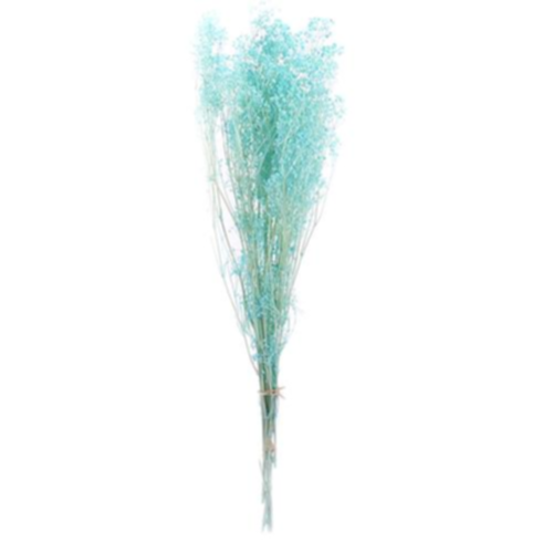Gypsophila trvácna 60cm balenie