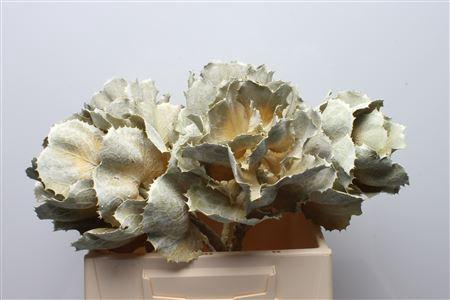 Huis en tuindecoratie overig 6%