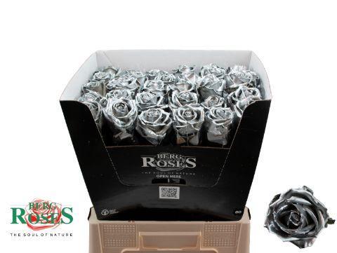 Rosa grootbloemig gewaxt H%