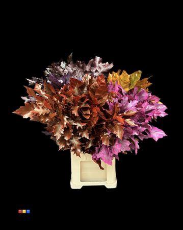 quercus overig kleurbehandeld H%