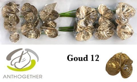 Anthurium Andreanum Grp kleurbehandeld H%