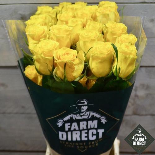 Rosa grootbloemig overig