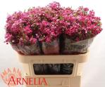 3d1fb58a-d45c-4094-8698-03d8438b6373.jpg