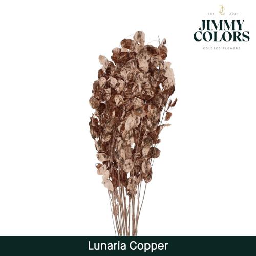 Snijbloemen overig kleurbehandeld H%