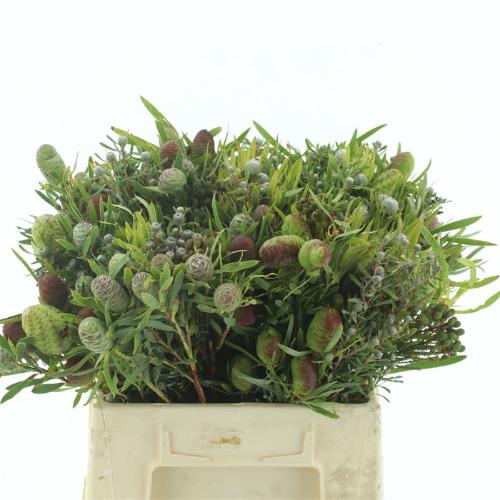 Allerheiligenboeket per bos