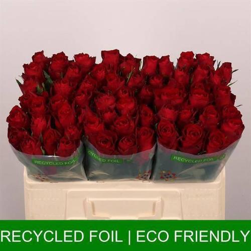 Rosa grootbloemig Madam Red