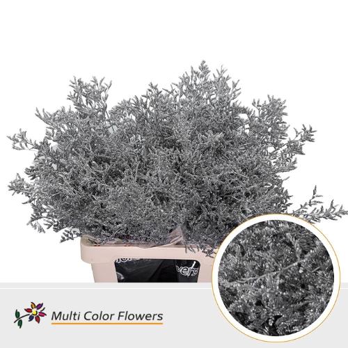 Limonium overig kleurbehandeld H%
