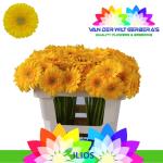 3ded8973-ab8b-4dbc-a6c6-bd2551cf77df.jpg