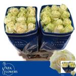 3e10e444-6ff0-4cc3-baa3-aedac2d8bed3.jpg