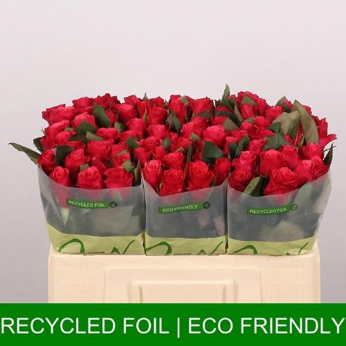 Rosa grootbloemig Tacazzi+