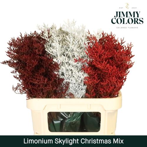 Limonium overig kleurbehandeld H%