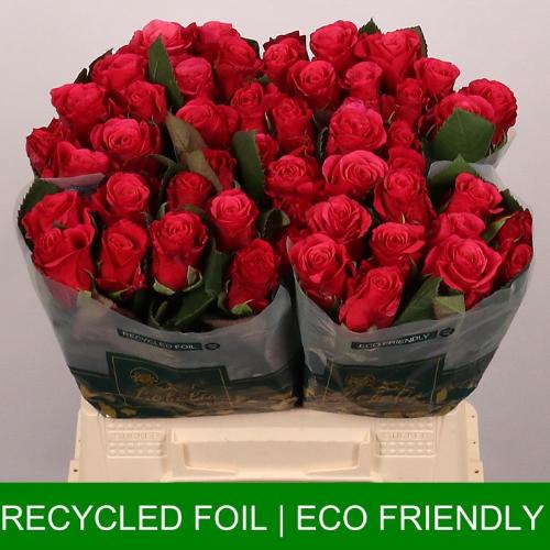 Rosa grootbloemig Tacazzi+