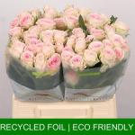 3eef8b2e-acfb-4309-b924-ebd473186551.jpg