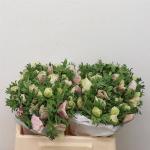 3efcb9cc-cc54-44ba-b20b-872cdf259ad8.jpg