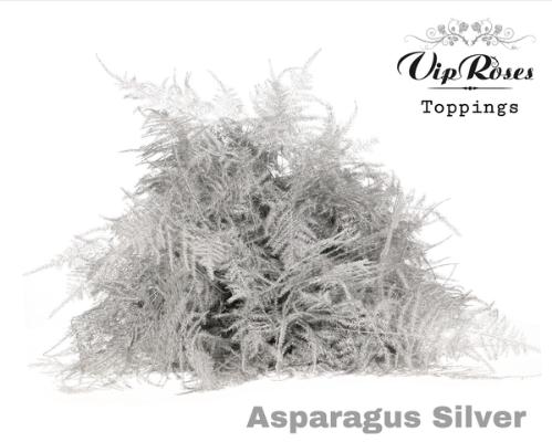 Asparagus overig kleurbehandeld H%