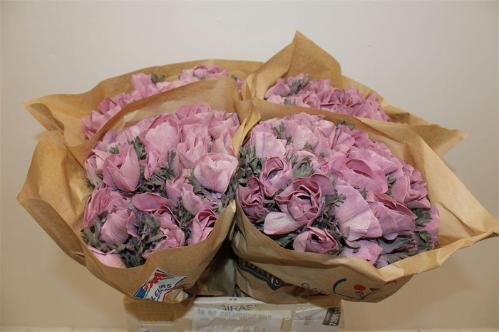 Snijbloemen overig kleurbehandeld H%