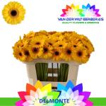 3f2471ff-bec5-4102-bda9-e311ea031118.jpg