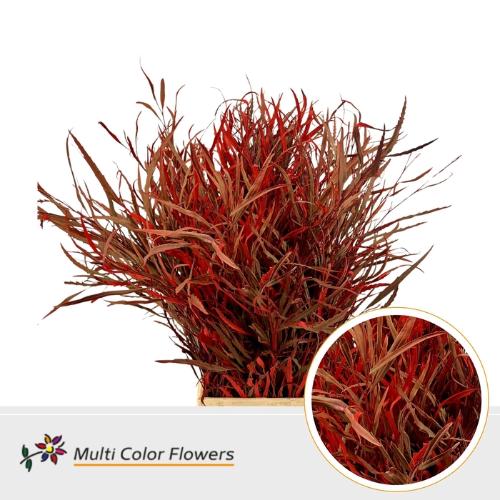 Decoratiegroen kleurbehandeld per bos H%