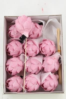 Huis en tuindecoratie overig H%